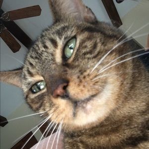 Meet your Posher, Cathy